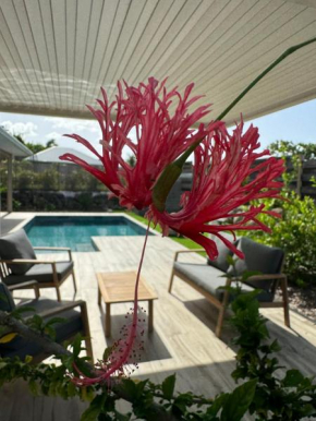 Nakolodge - 2 chambres -piscine et jardin privatifs